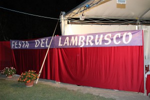 Lambrusco 2012 sab 014